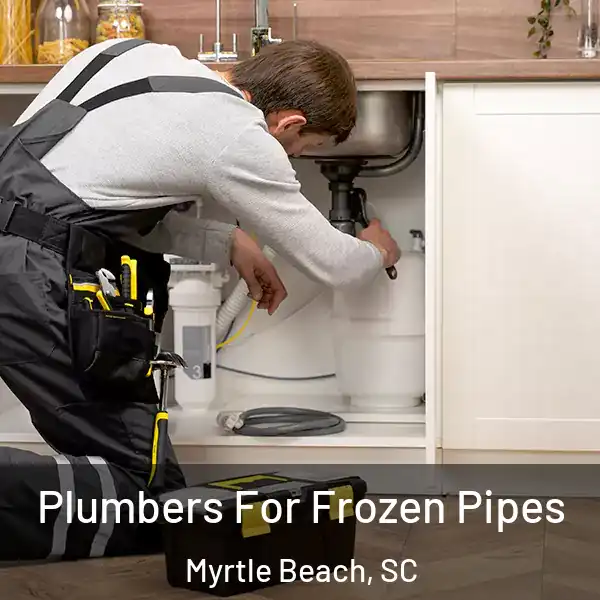  Plumbers For Frozen Pipes Myrtle Beach, SC