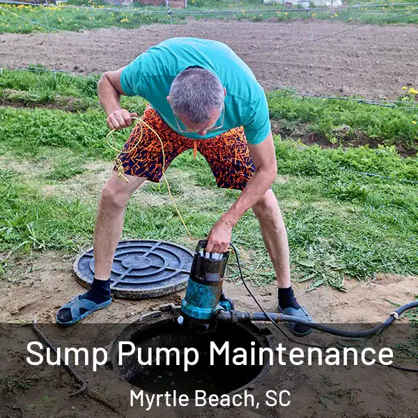  Sump Pump Maintenance Myrtle Beach, SC